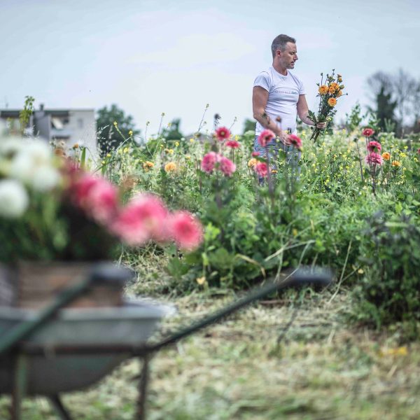 Daniele di Kadò raccoglie nel campo i fiori della flower farm