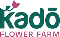 kado flower farm