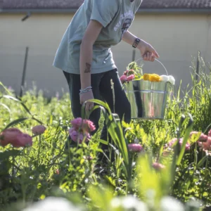 Kado-flower-farm-design-fiori-piacenza-autoraccolta-6 Kado-flower-farm-design-fiori-piacenza-autoraccolta-6