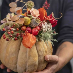 Zucca fiorita
