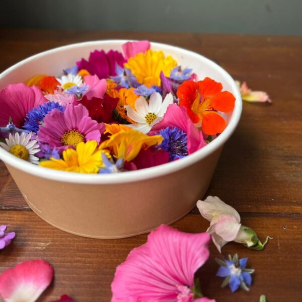 fiori_eduli4